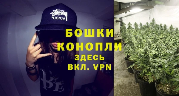 соль ск Гусь-Хрустальный