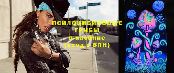ALPHA PVP Гусев
