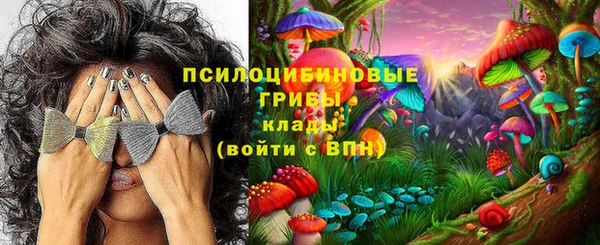 соль ск Гусь-Хрустальный