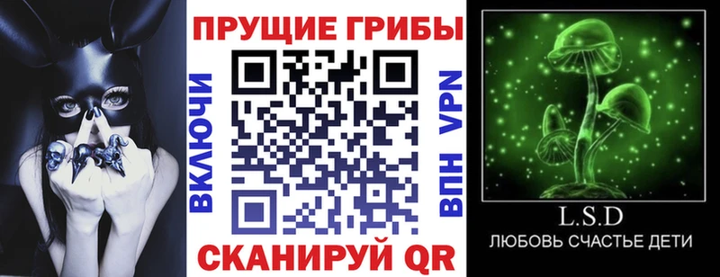 Купить где  Серов  Галлюциногенные грибы Cubensis 